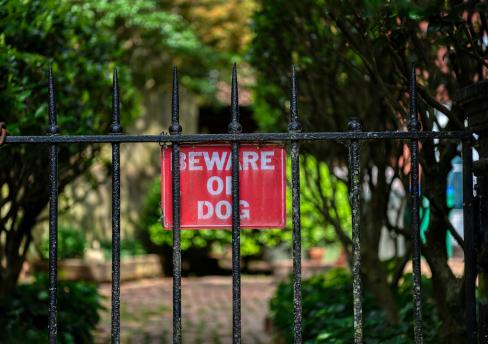 Sign behind a fence stating 'beware of dog'